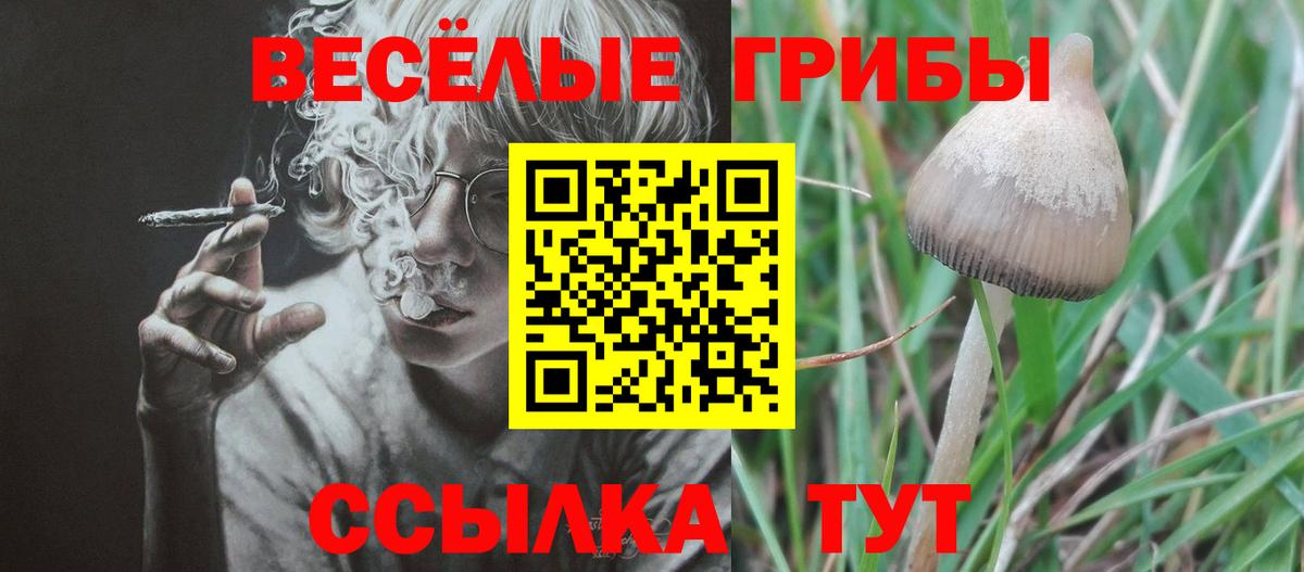 Галлюциногенные грибы мицелий  Вход с VPN  Дубна 